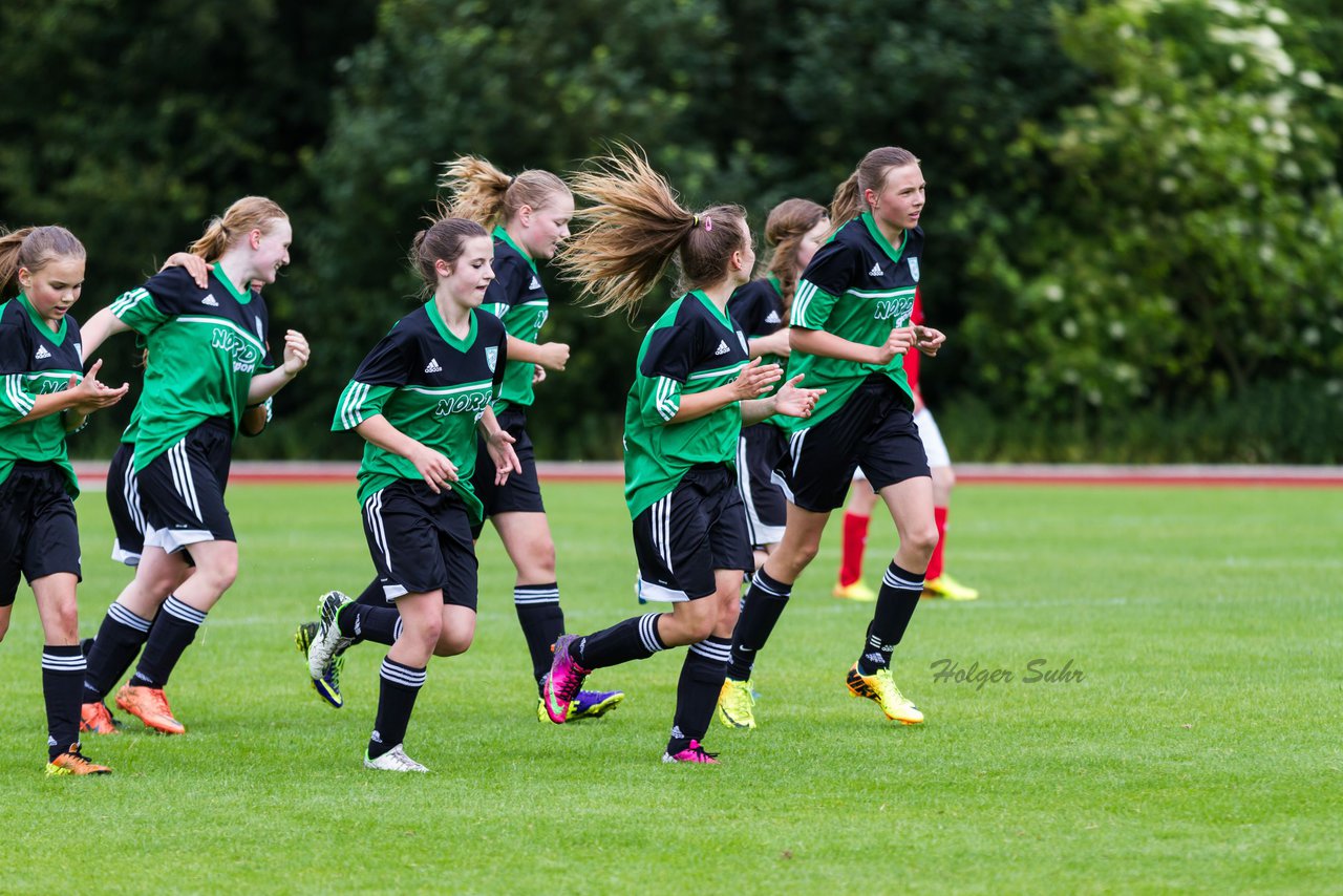 Bild 87 - C-Juniorinnen Landesmeister Finale SV Wahlstedt - TuRa Meldorf : Ergebnis: 1:4